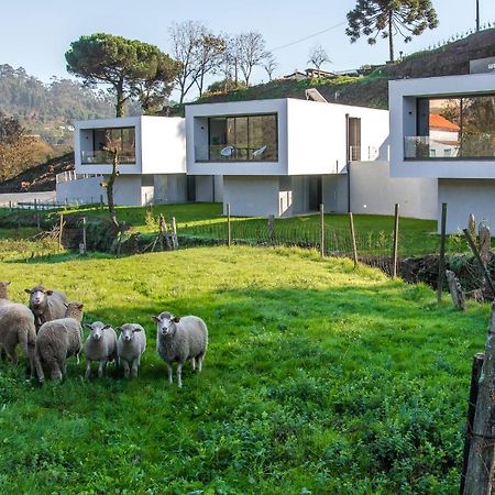 Viana Do Castelo - Amonde Village - Casa L - Disfrute Da Natureza Extérieur photo