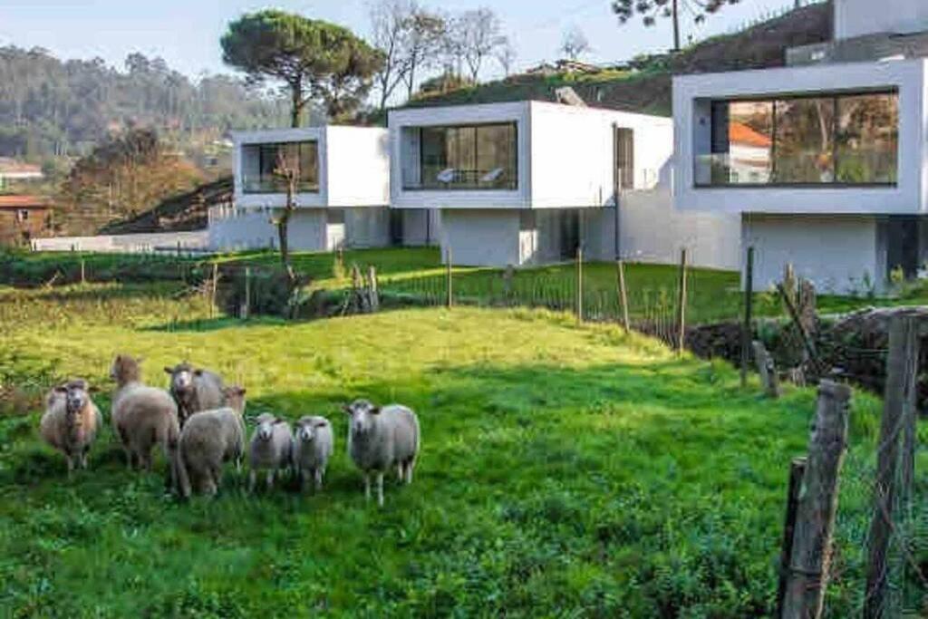 Viana Do Castelo - Amonde Village - Casa L - Disfrute Da Natureza Extérieur photo